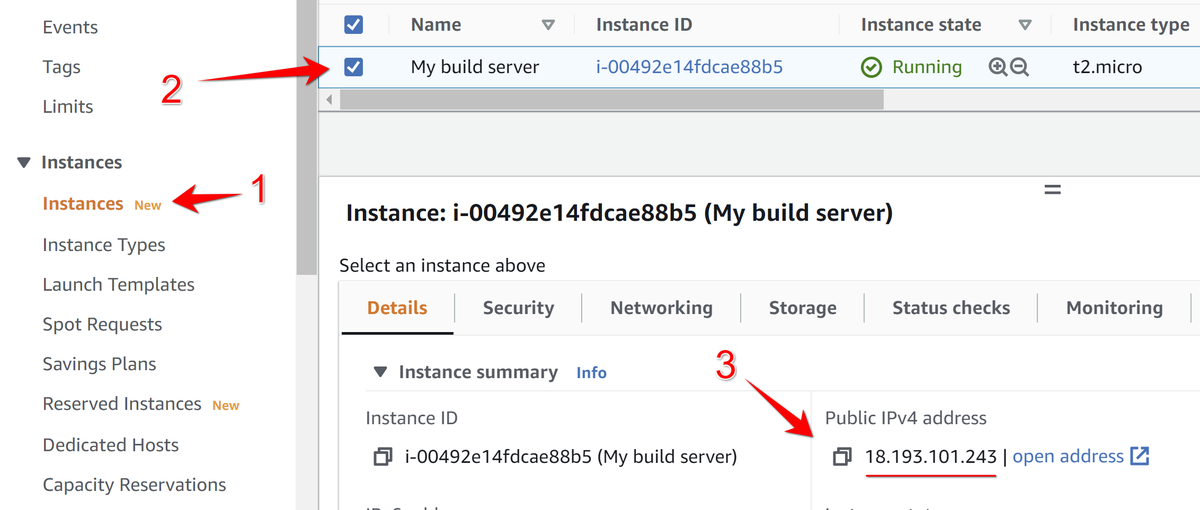 Public IP of newly created EC2 instance